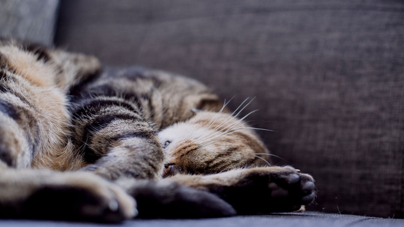 Awesome Gallery Post